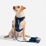 10 Best wild one dog harnesses of 2026